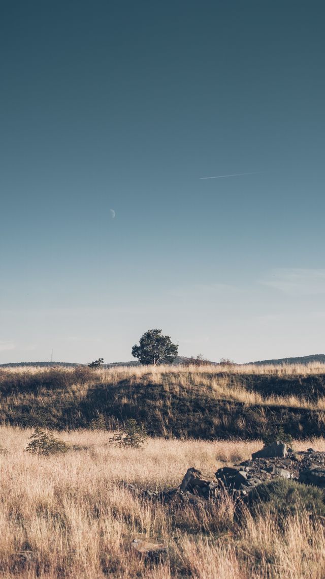 Background 5