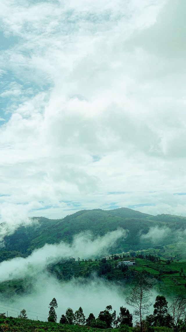 Background 8