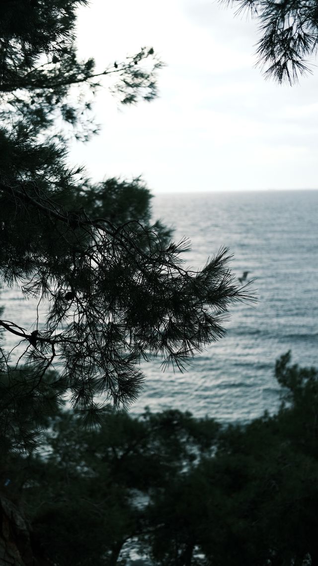 Background 13