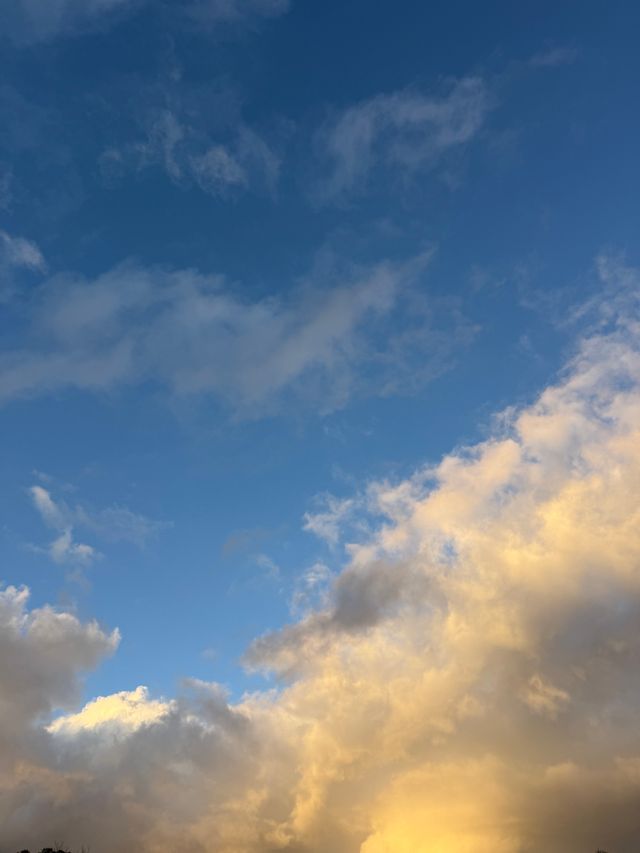 Background 15