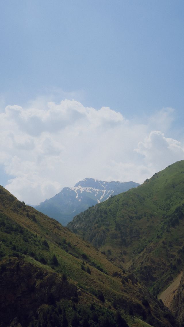 Background 24