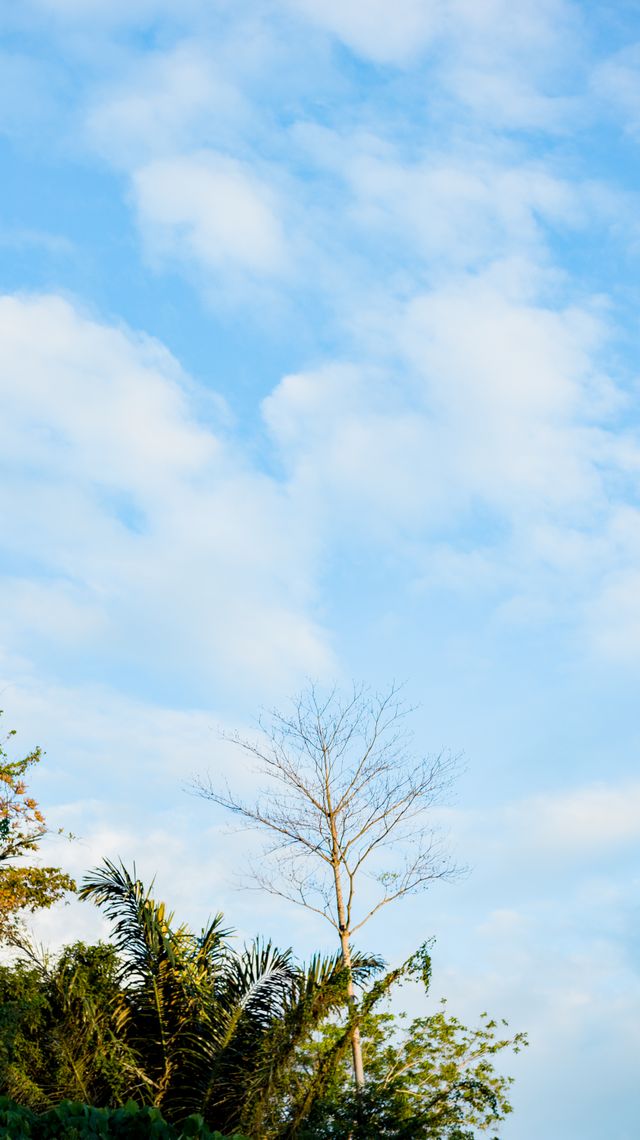 Background 34