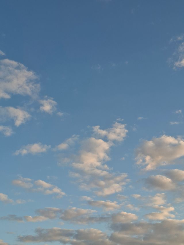 Background 38