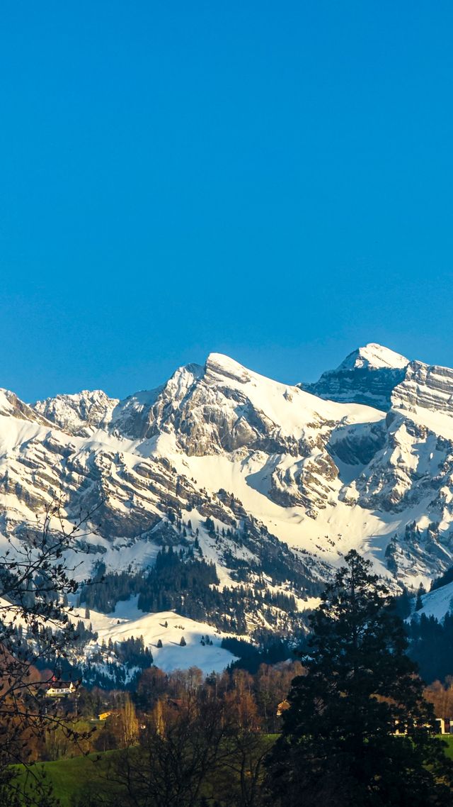 Background 39