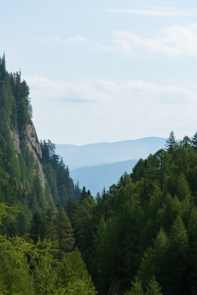 Background 41