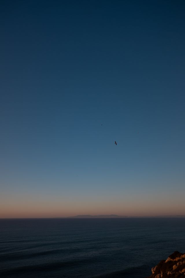 Background 45