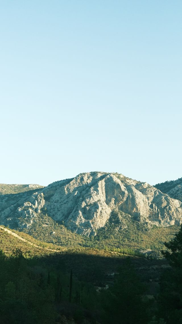Background 61