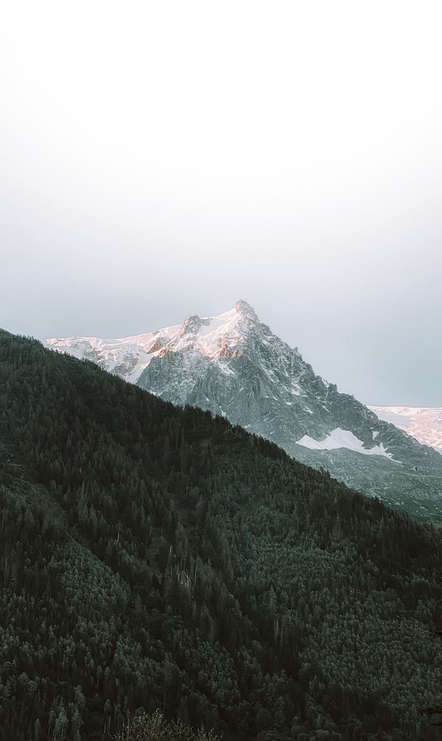 Background 62