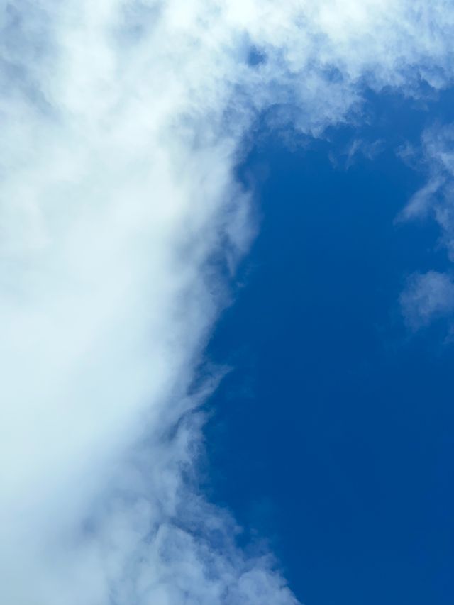 Background 67