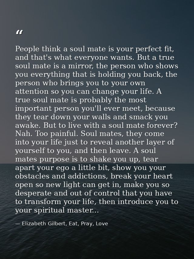 People think a soul mate is your perfect fit, and that's what everyone wants. But a true soul mate is a mirror, the pers — Elizabeth Gilbert, Eat, Pray, Love