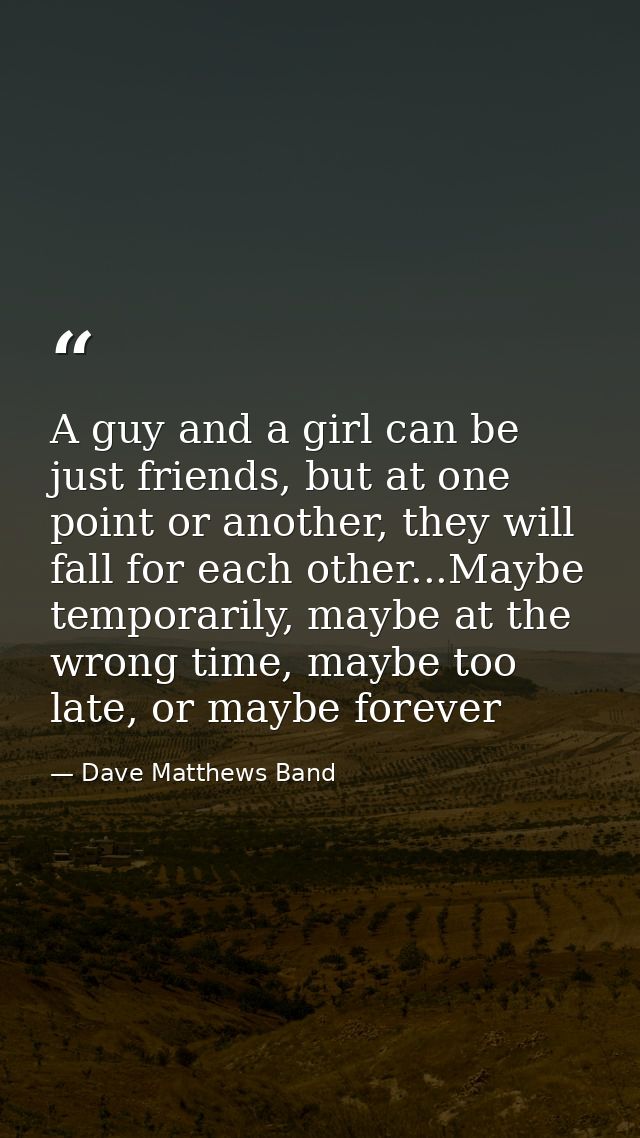 A guy and a girl can be just friends, but at one point or another, they will fall for each other...Maybe temporarily, ma — Dave Matthews Band