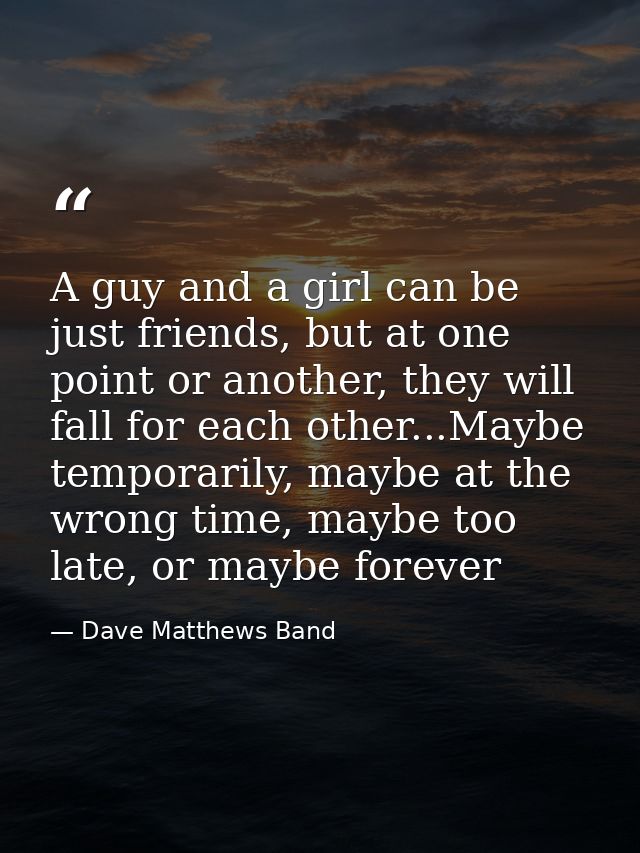 A guy and a girl can be just friends, but at one point or another, they will fall for each other...Maybe temporarily, ma — Dave Matthews Band