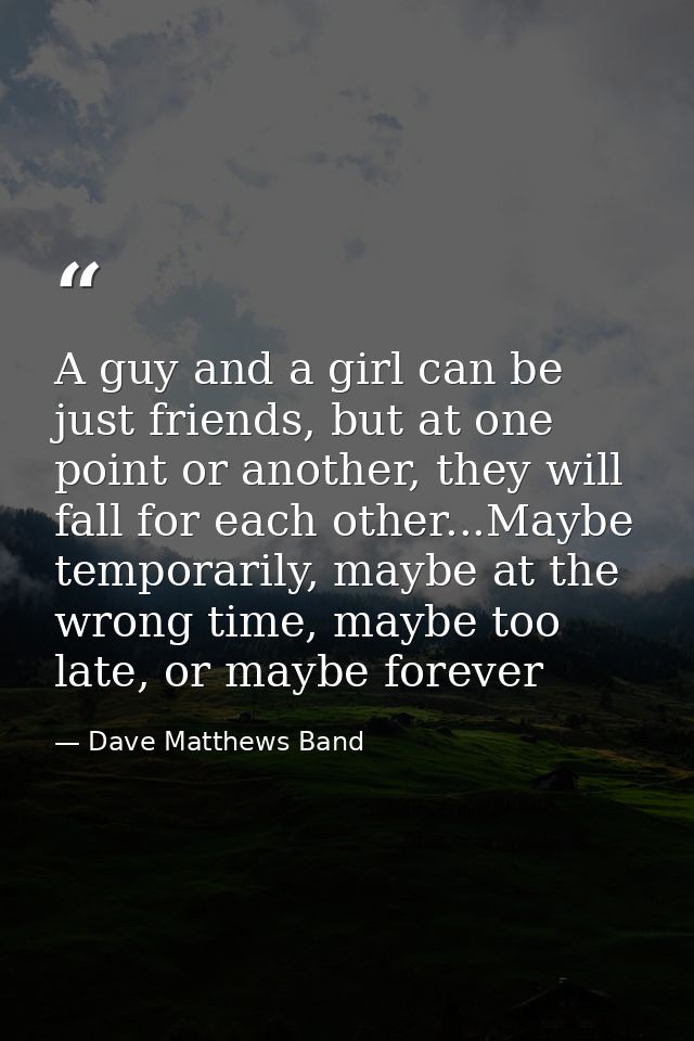 A guy and a girl can be just friends, but at one point or another, they will fall for each other...Maybe temporarily, ma — Dave Matthews Band