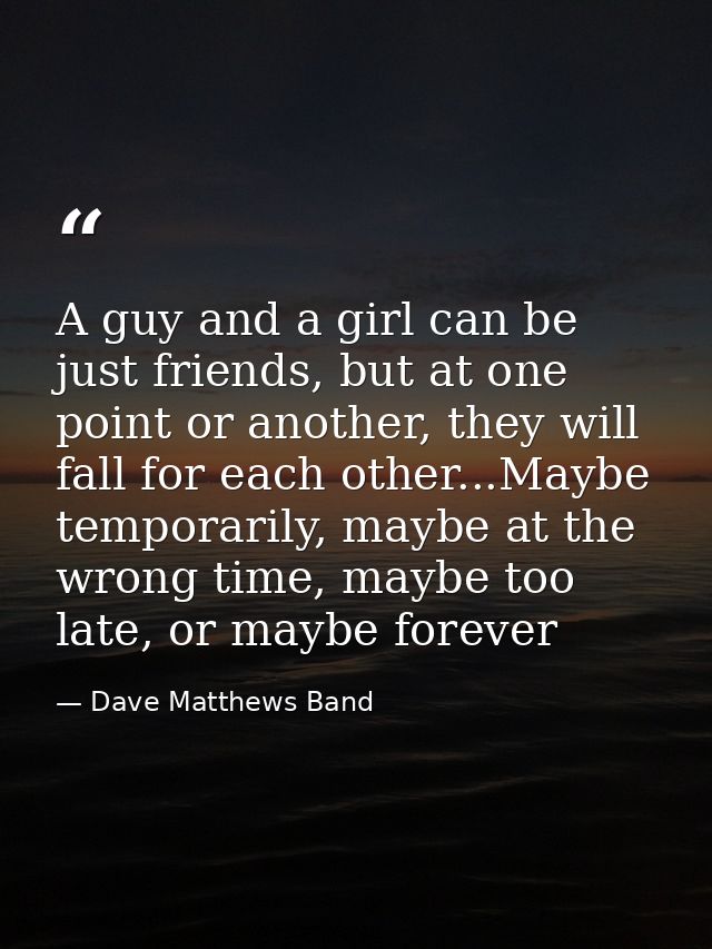 A guy and a girl can be just friends, but at one point or another, they will fall for each other...Maybe temporarily, ma — Dave Matthews Band