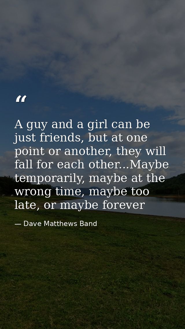 A guy and a girl can be just friends, but at one point or another, they will fall for each other...Maybe temporarily, ma — Dave Matthews Band