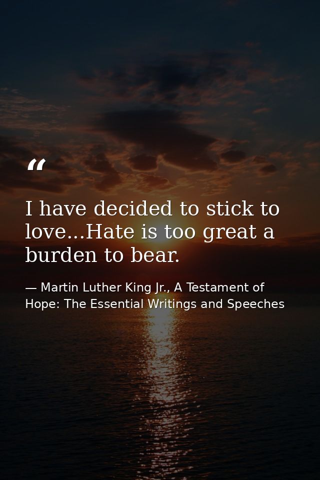 I have decided to stick to love...Hate is too great a burden to bear. — Martin Luther King Jr., A Testament of Hope: The Essential Writings and Speeches
