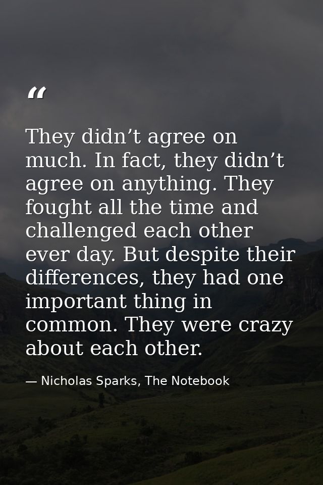 They didn’t agree on much. In fact, they didn’t agree on anything. They fought all the time and challenged each other ev — Nicholas Sparks, The Notebook