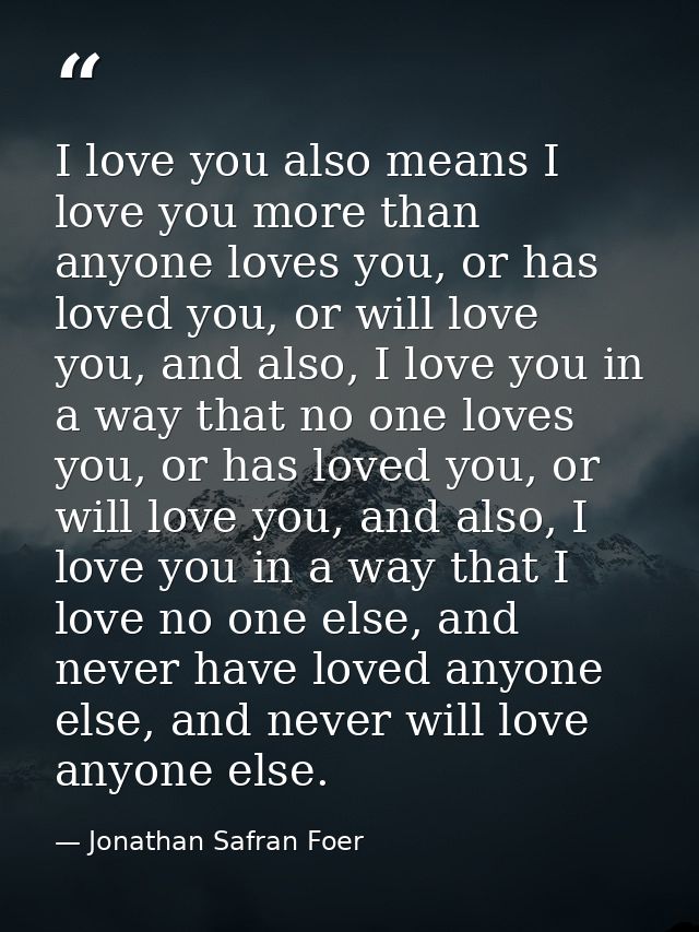 I love you also means I love you more than anyone loves you, or has loved you, or will love you, and also, I love you in — Jonathan Safran Foer