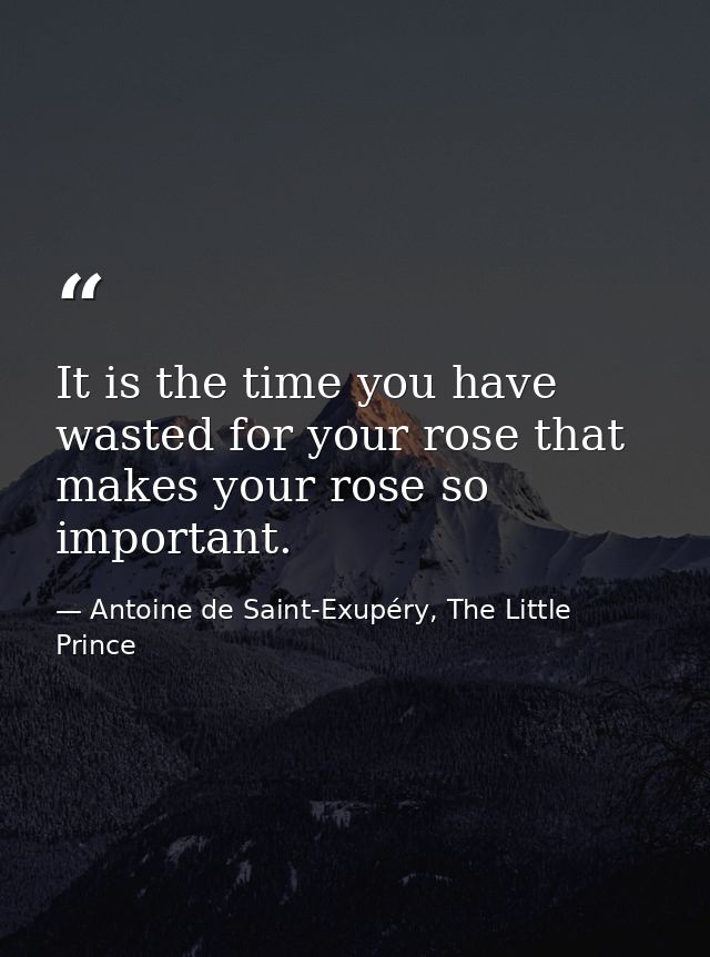 It is the time you have wasted for your rose that makes your rose so important. — Antoine de Saint-Exupéry, The Little Prince
