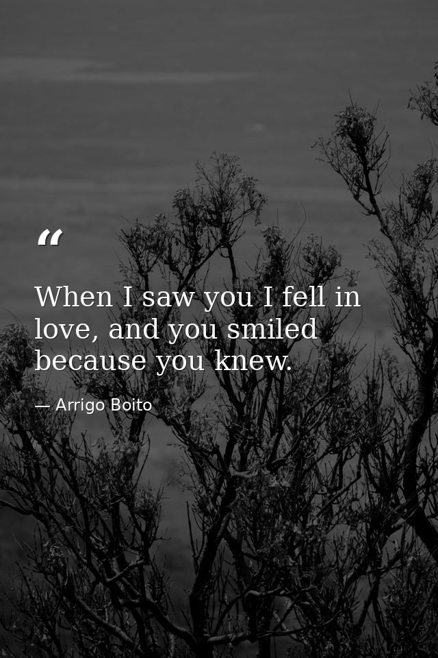 When I saw you I fell in love, and you smiled because you knew. — Arrigo Boito