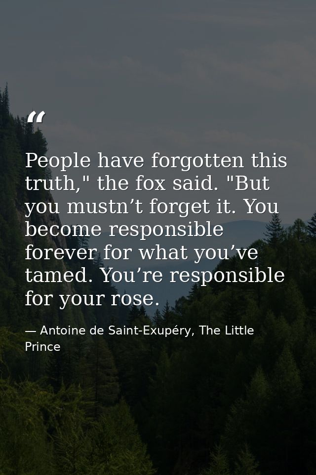 People have forgotten this truth," the fox said. "But you mustn’t forget it. You become responsible forever for what you — Antoine de Saint-Exupéry, The Little Prince