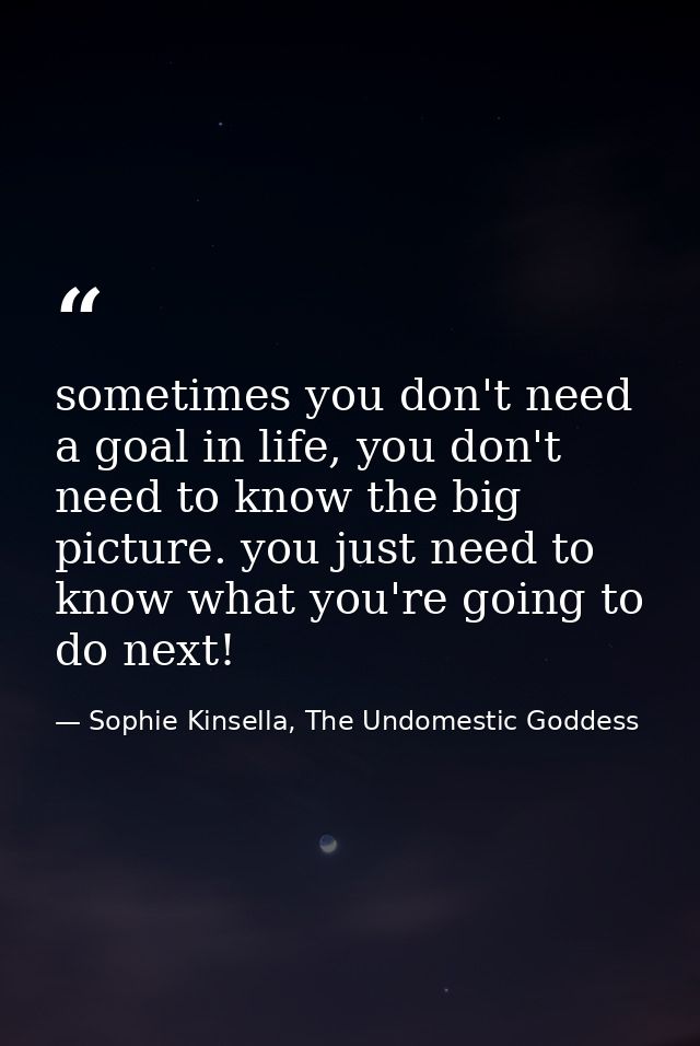 sometimes you don't need a goal in life, you don't need to know the big picture. you just need to know what you're going — Sophie Kinsella, The Undomestic Goddess