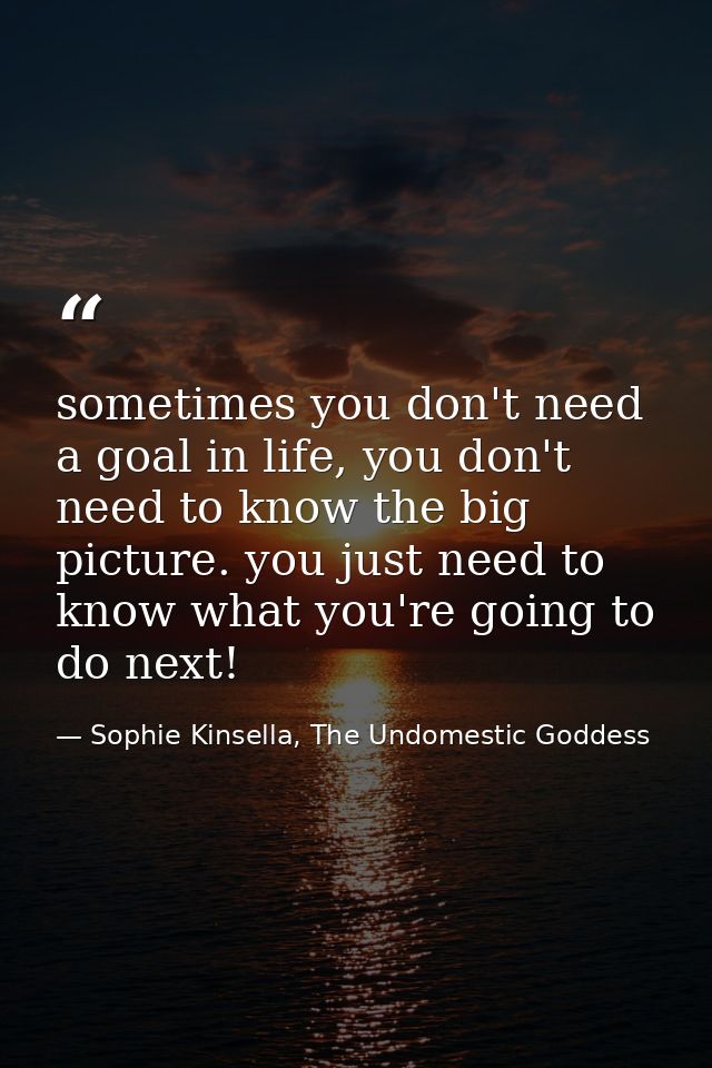 sometimes you don't need a goal in life, you don't need to know the big picture. you just need to know what you're going — Sophie Kinsella, The Undomestic Goddess