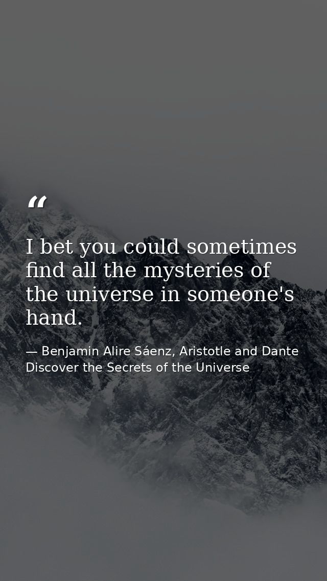 I bet you could sometimes find all the mysteries of the universe in someone's hand. — Benjamin Alire Sáenz, Aristotle and Dante Discover the Secrets of the Universe