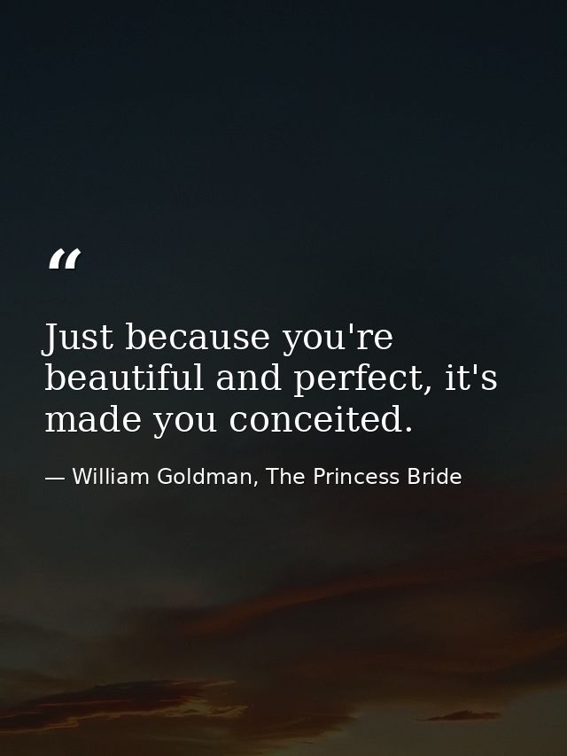 Just because you're beautiful and perfect, it's made you conceited. — William Goldman, The Princess Bride