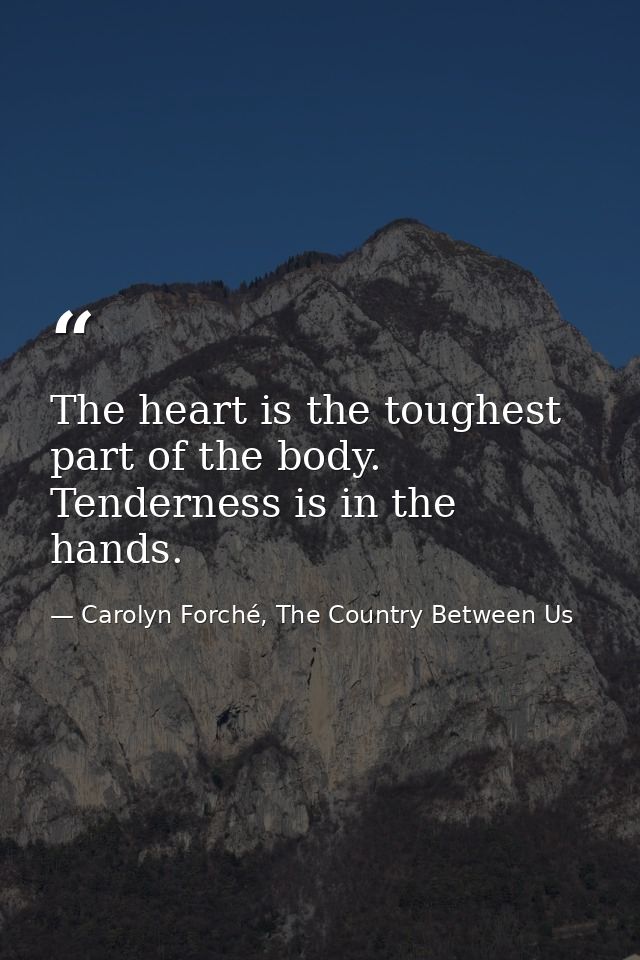 The heart is the toughest part of the body. Tenderness is in the hands. — Carolyn Forché, The Country Between Us