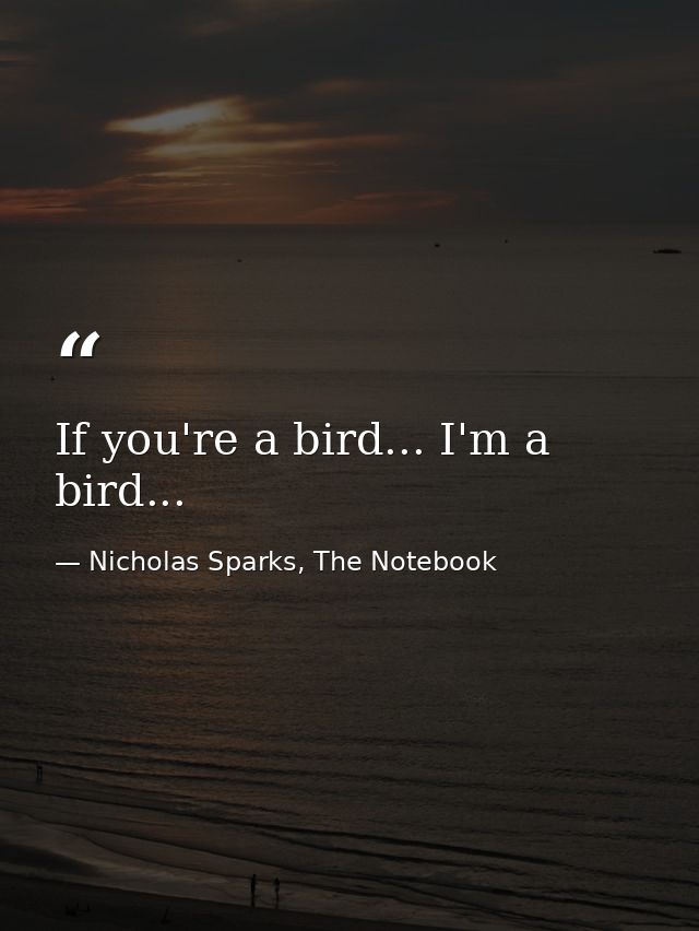 If you're a bird... I'm a bird... — Nicholas Sparks, The Notebook