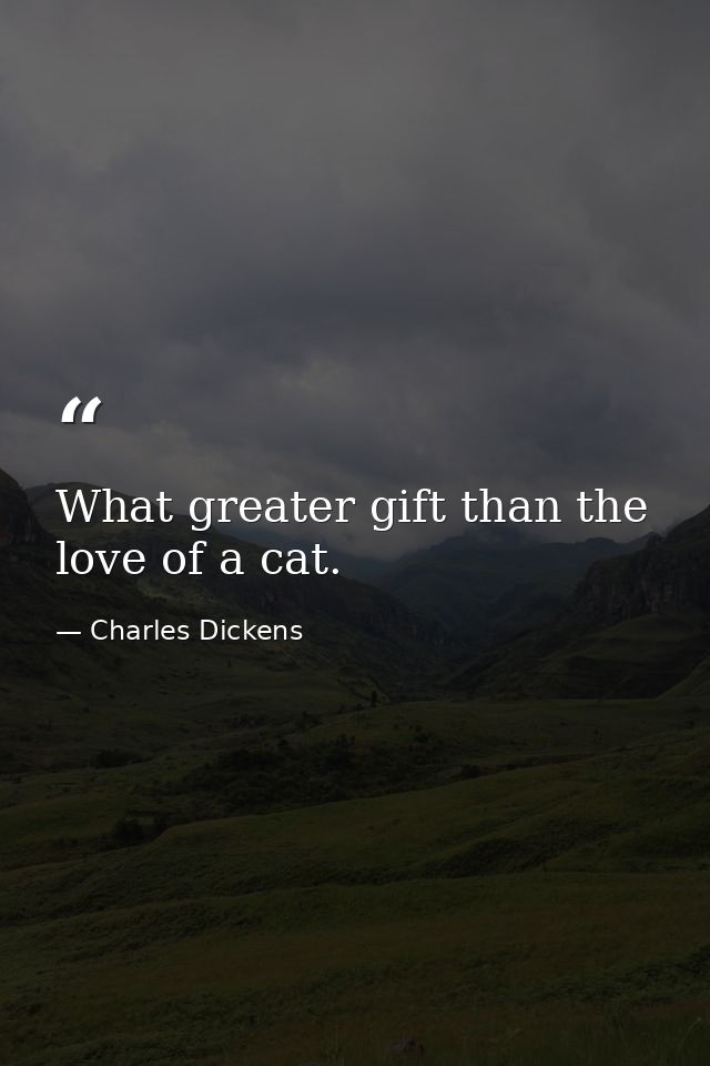 What greater gift than the love of a cat. — Charles Dickens