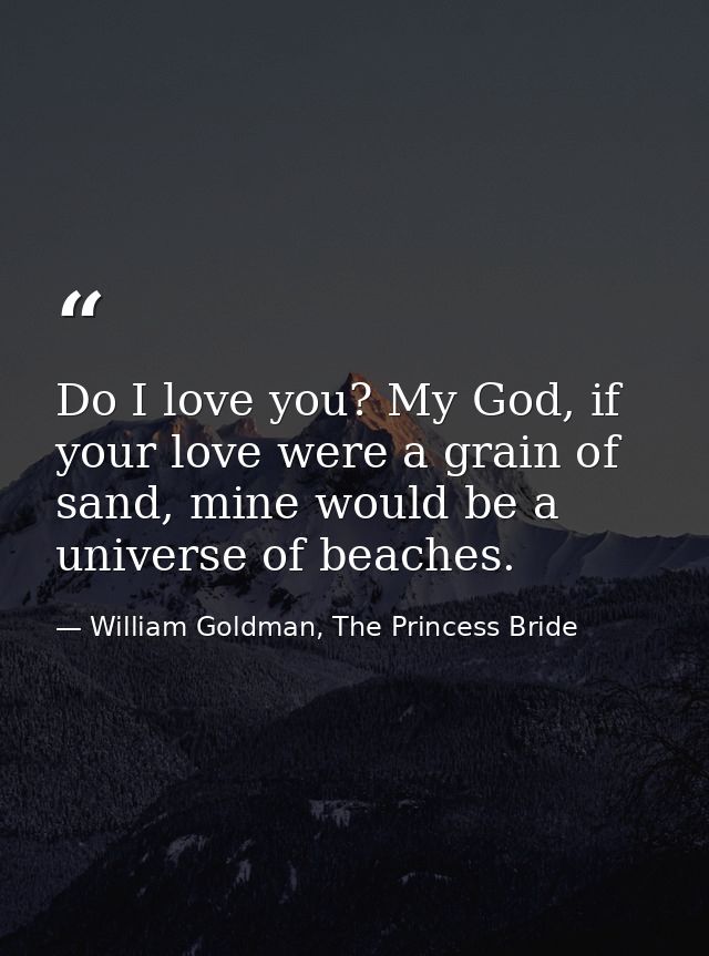 Do I love you? My God, if your love were a grain of sand, mine would be a universe of beaches. — William Goldman, The Princess Bride