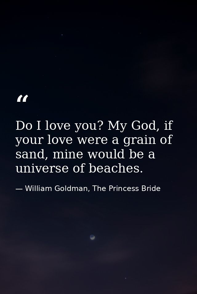 Do I love you? My God, if your love were a grain of sand, mine would be a universe of beaches. — William Goldman, The Princess Bride