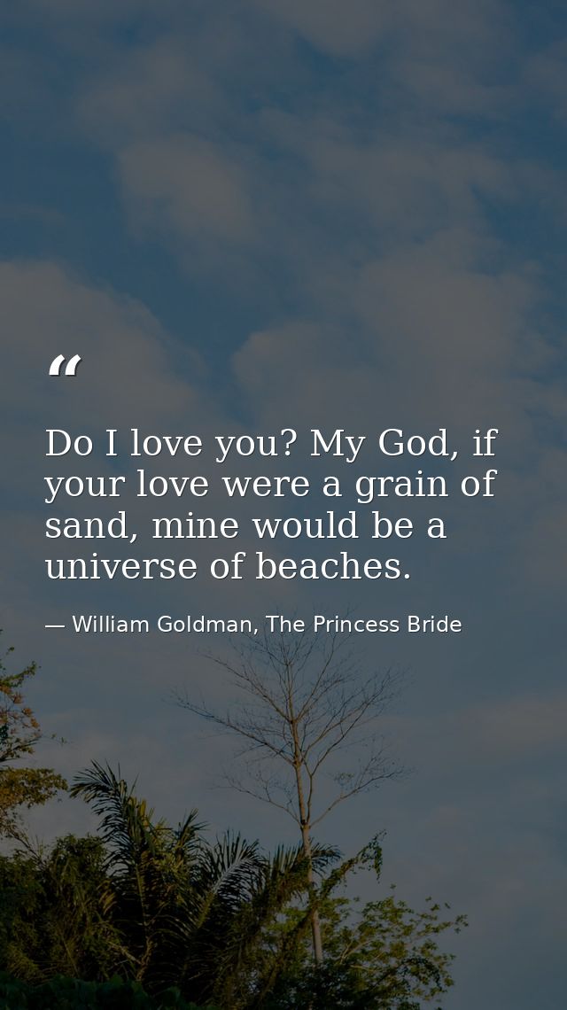 Do I love you? My God, if your love were a grain of sand, mine would be a universe of beaches. — William Goldman, The Princess Bride