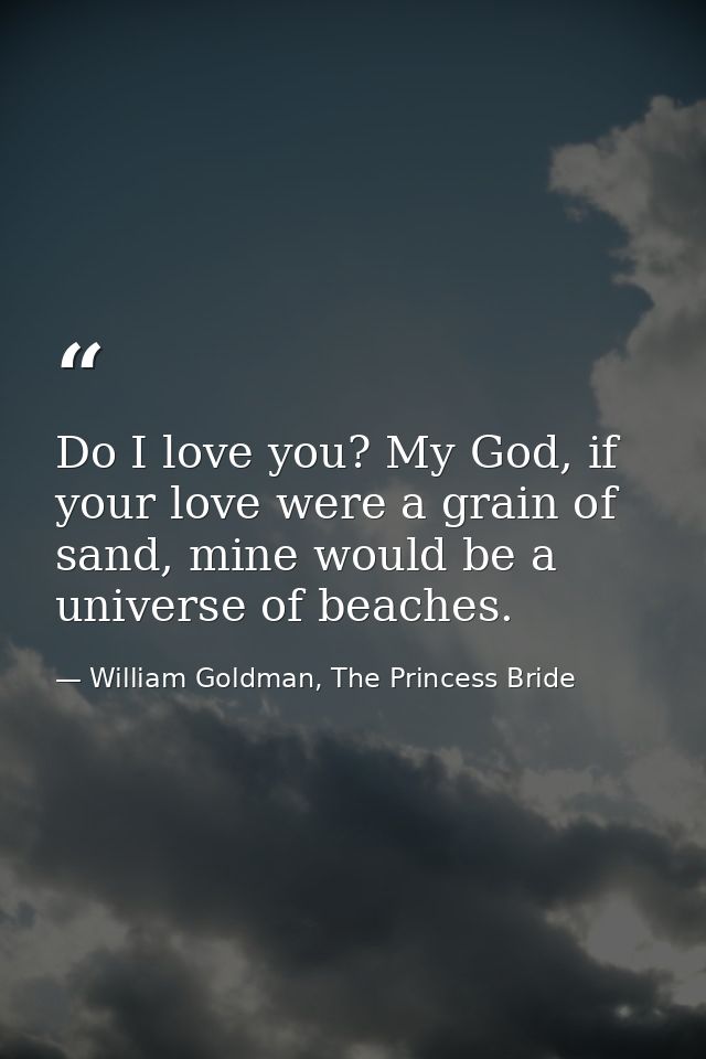 Do I love you? My God, if your love were a grain of sand, mine would be a universe of beaches. — William Goldman, The Princess Bride