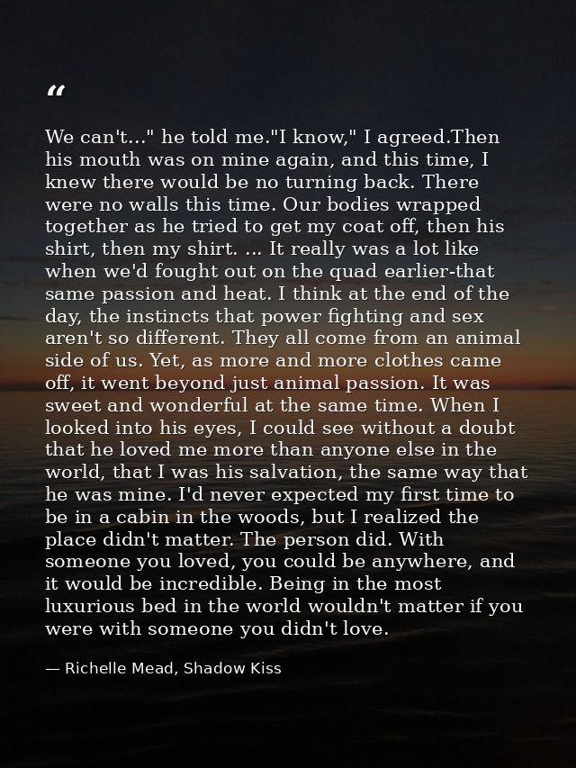 We can't..." he told me."I know," I agreed.Then his mouth was on mine again, and this time, I knew there would be no tur — Richelle Mead, Shadow Kiss