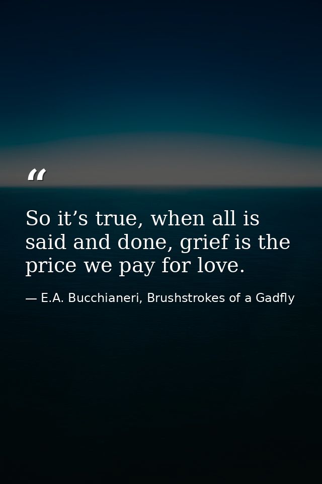 So it’s true, when all is said and done, grief is the price we pay for love. — E.A. Bucchianeri, Brushstrokes of a Gadfly