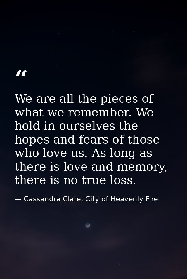 We are all the pieces of what we remember. We hold in ourselves the hopes and fears of those who love us. As long as the — Cassandra Clare, City of Heavenly Fire
