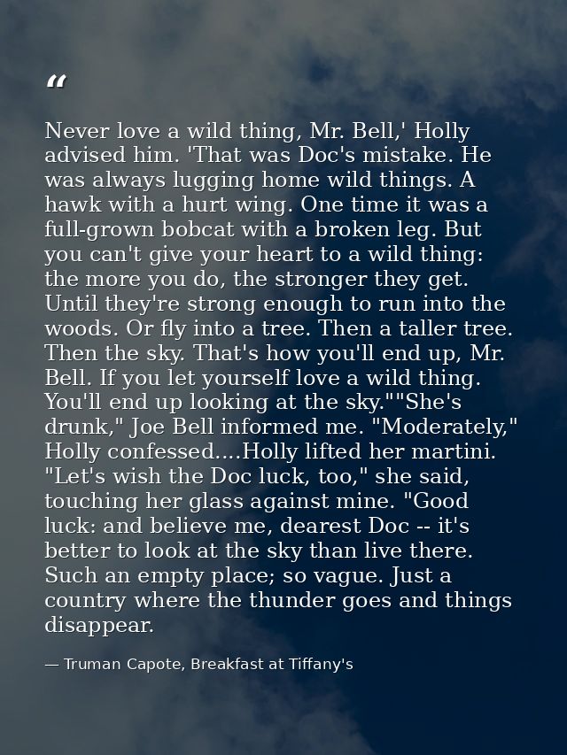 Never love a wild thing, Mr. Bell,' Holly advised him. 'That was Doc's mistake. He was always lugging home wild things.  — Truman Capote, Breakfast at Tiffany's