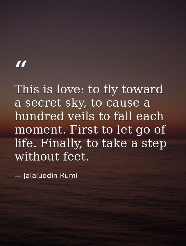 This is love: to fly toward a secret sky, to cause a hundred veils to fall each moment. First to let go of life. Finally — Jalaluddin Rumi