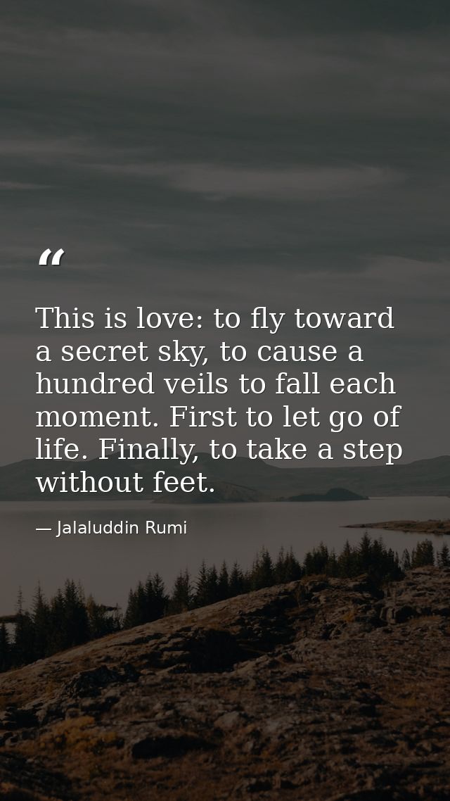 This is love: to fly toward a secret sky, to cause a hundred veils to fall each moment. First to let go of life. Finally — Jalaluddin Rumi