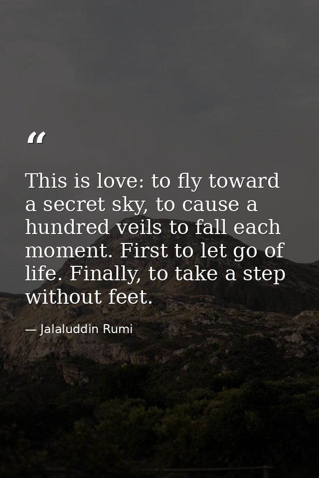 This is love: to fly toward a secret sky, to cause a hundred veils to fall each moment. First to let go of life. Finally — Jalaluddin Rumi