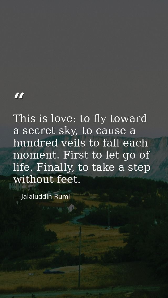 This is love: to fly toward a secret sky, to cause a hundred veils to fall each moment. First to let go of life. Finally — Jalaluddin Rumi
