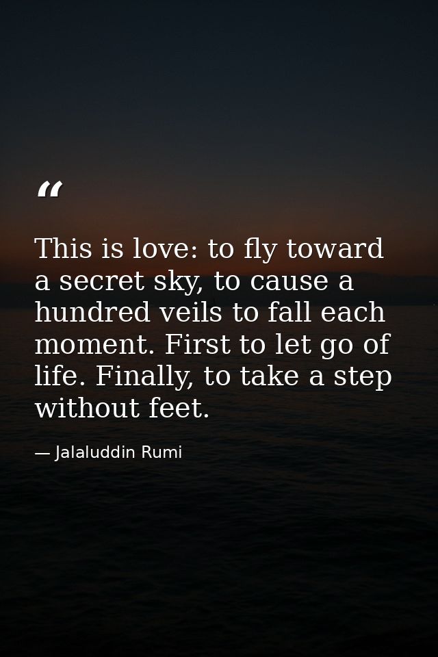 This is love: to fly toward a secret sky, to cause a hundred veils to fall each moment. First to let go of life. Finally — Jalaluddin Rumi