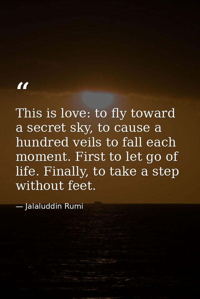 This is love: to fly toward a secret sky, to cause a hundred veils to fall each moment. First to let go of life. Finally — Jalaluddin Rumi