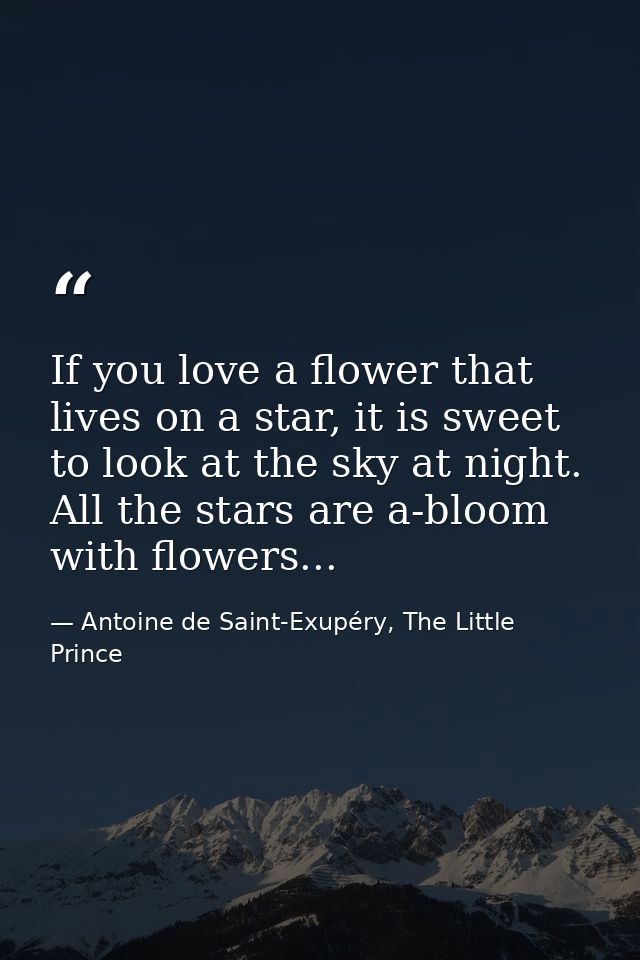 If you love a flower that lives on a star, it is sweet to look at the sky at night. All the stars are a-bloom with flowe — Antoine de Saint-Exupéry, The Little Prince