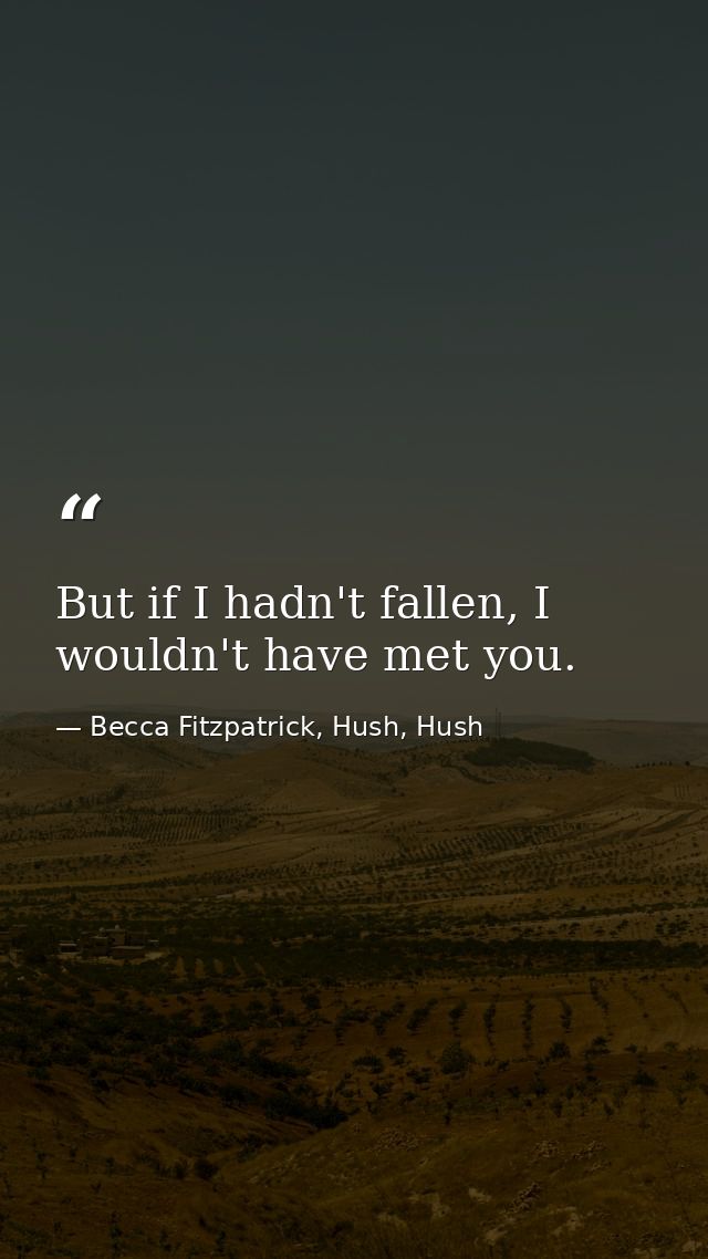 But if I hadn't fallen, I wouldn't have met you. — Becca Fitzpatrick, Hush, Hush