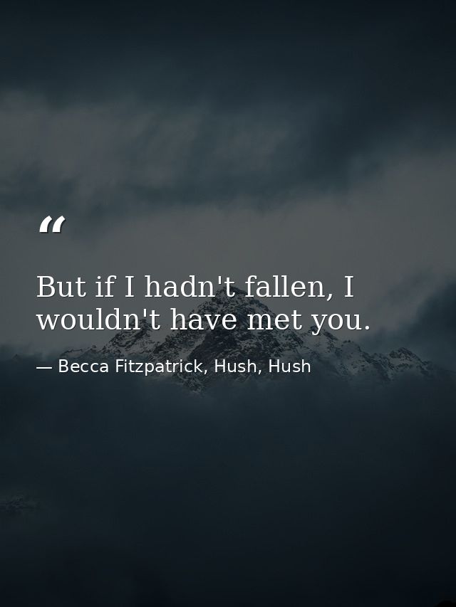 But if I hadn't fallen, I wouldn't have met you. — Becca Fitzpatrick, Hush, Hush