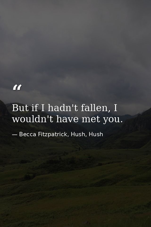 But if I hadn't fallen, I wouldn't have met you. — Becca Fitzpatrick, Hush, Hush